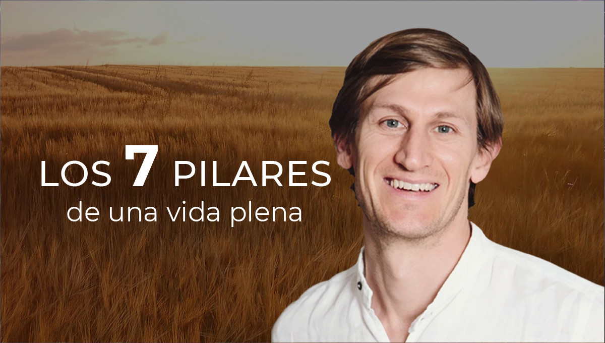 Los 7 pilares de una vida plena